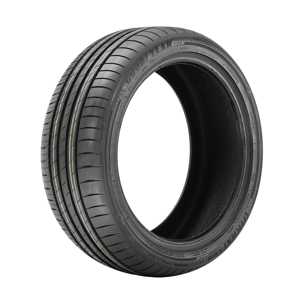 Pneu Goodyear Aro 16 EfficientGrip Performance EV 195/55R16 91V XL
