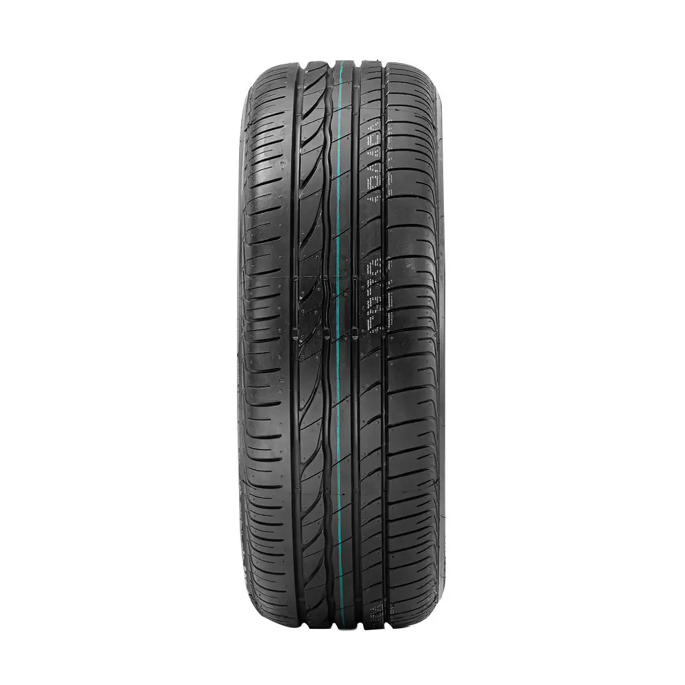 Pneu Bridgestone Aro 16 Turanza ER300 AO 205/60R16 96W XL | PNEUSTORE